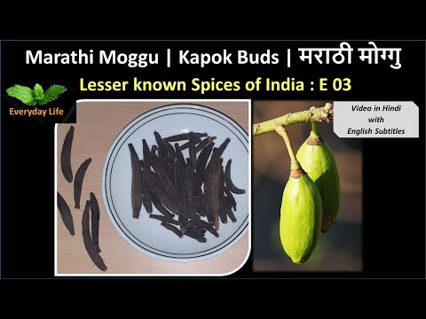 download lagu mp3 mp4 Marathi Moggu Substitute, download lagu Marathi Moggu Substitute gratis, unduh video klip Marathi Moggu Substitute