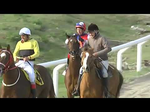 03/08/2023 – Hipodromo Colonia – Carr 10 – CLASIFICATORIO - DON REGINALDO Y DON ARTURO ...