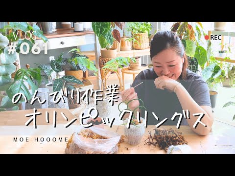 小花モウズイカ 植物