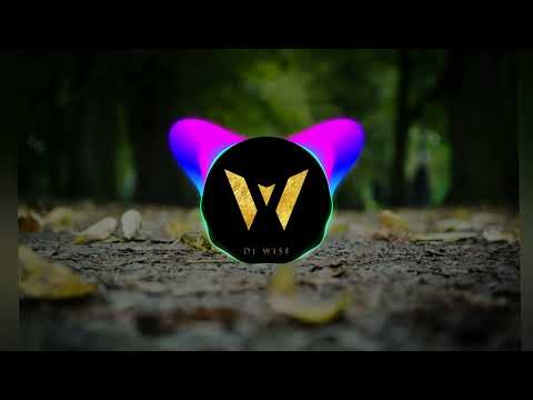 Dj Wise - Isa Bau Laga Mai [remix]