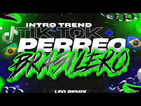 INTRO TREND TIKTOK + PERREO BRASILERO ❌ Leo Remix