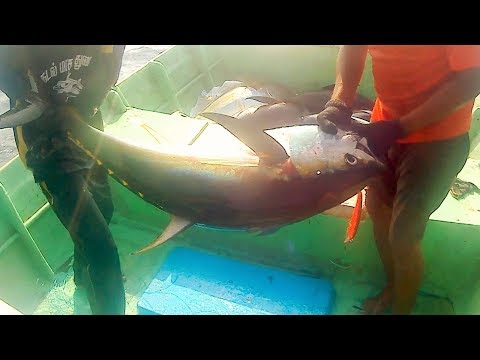 Amazing Giant Bluefin Tuna Fishing Skill, Catching Tuna on The Big Sea