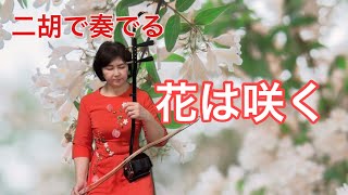 花は咲く【二胡】渡嘉敷かおる