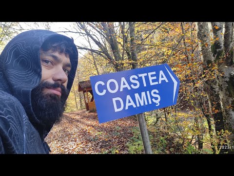 Am fost la un prieten în Crișana în Județul Bihor Comuna Bratca octombrie 2023 Pa.2