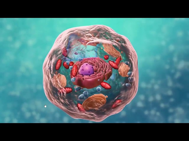 اشتراك شرح مادة PHC271