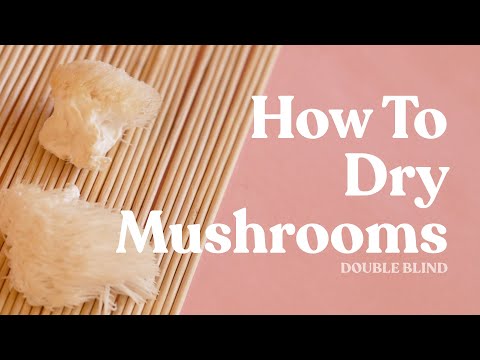 How to Dry Mushrooms | DoubleBlind