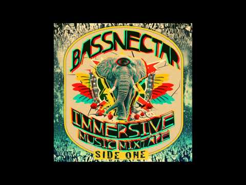 Bassnectar & Z-Trip - Dirt Off Your Shoulder Mashup (Bassnectar Immersive Music Mixtape)