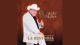 Arboles De La Barranca