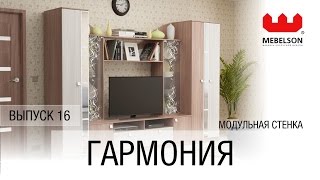 Мини-стенка "Гармония" (шимо темный/шимо светлый)