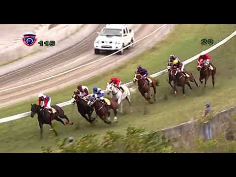 Hippisme - 11e journée (5e course) : Doublé de l'écurie Maingard avec Spring Man