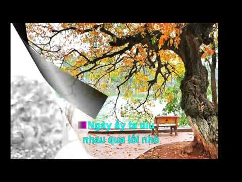 Nhắc một chuyện tình - Lý Thu Thảo