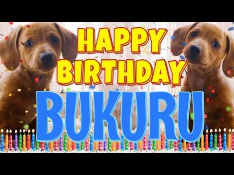 Happy Birthday Bukuru! ( Funny Talking Dogs ) What Is Free On My Birthday