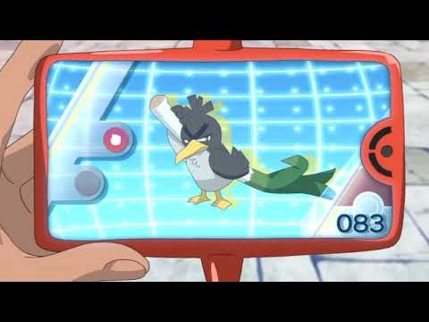 Galarian Farfetch'd Pokédex Entry..wmv