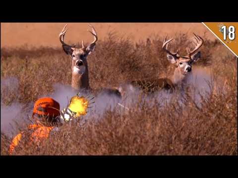 Craziest Whitetail Deer Hunt We've Ever Filmed l Spot & Stalk