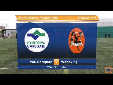Sintesi Pol. Carugate - Wendy Fg