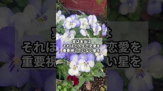 【意外】恋愛相談で一番多いお悩み、実はこれです｜#長崎占い #恋愛相談 #人生相談