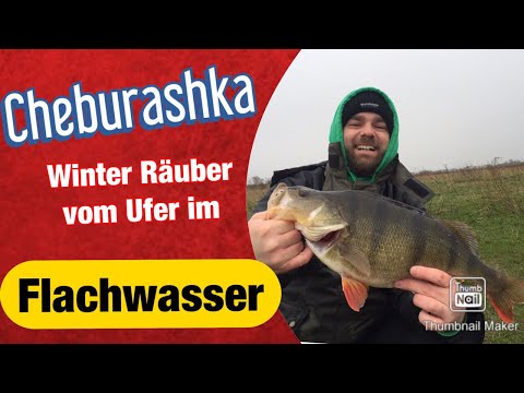 Vom Ufer aus - mit dem Cheburashka Rig auf Barsch und Hecht. Angeln im Winter am See