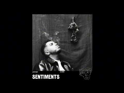 Hamza Type Beat "Sentiments"