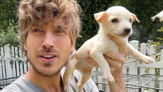 Naming My FIVE Neglected Rescue Puppies!