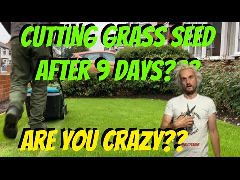 |HOW and WHEN |do I cut my new GRASS SEED