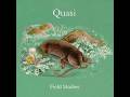 Quasi - The Golden Egg (lyrics)