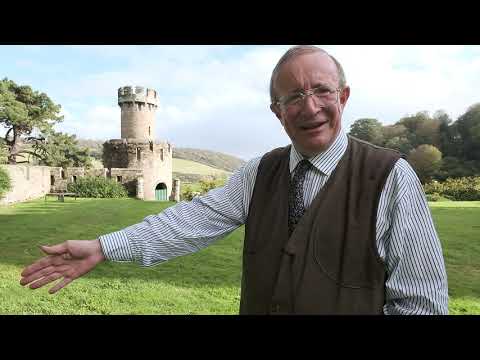Yew berries - Burncoose Nurseries