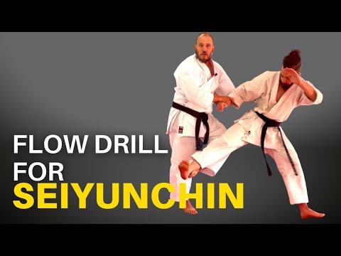Seiyunchin Bunkai Flow Drill for Goju Ryu