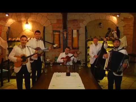 Vinski brati - Mi smo tuj navek