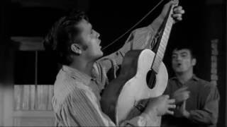 Elvis Presley -  We&#39;re Gonna Move  ( from Love Me Tender movie 1956)