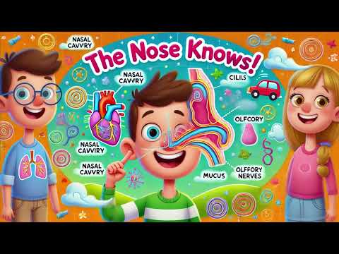🎶 The Nose Knows!   A Fun Song About the Nose 👃🎵   Learn How We Smell!