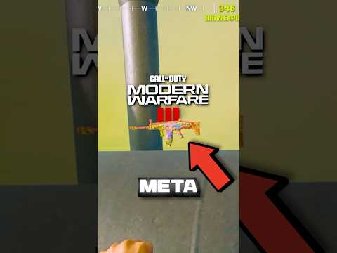 I went back to the MW2 WARZONE META for 24 hours