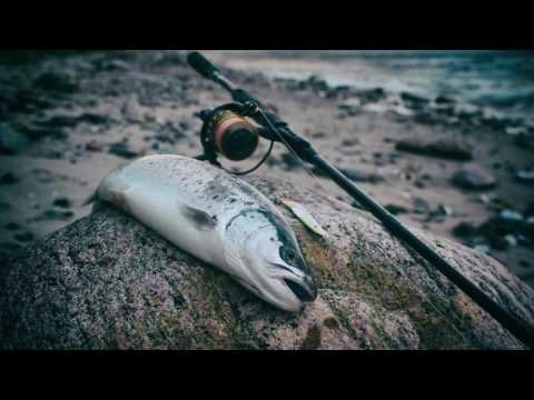 Meerforellenangeln auf Fyn 2017