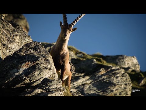 GROHAG Trilogie - Teil II - Natur erfahren, GROHAG Trilogy - Part II - Experience nature
