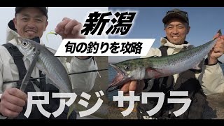 【新潟】尺アジ&サワラ！人気フィールド攻略/佐々木平磨