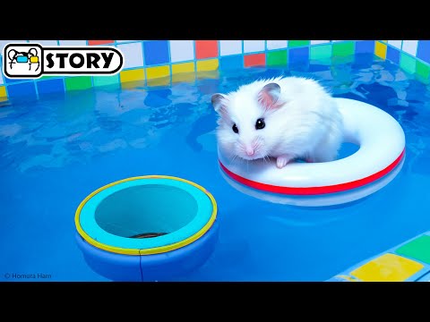 The Awesome Hamster Pool Maze 🐹 Homura Ham Pets