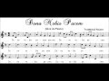 Dona  Nobis  Pacem - Peter  Backhausen