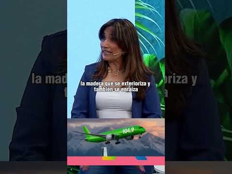Vídeo: Calendário TRT4: perguntas e respostas