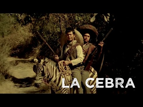 Zebra (La cebra) - Zwiastun