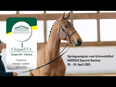 Springyoungsterauktion Lot 01 Chopard VA Hengst v. Chopin - Clarimo