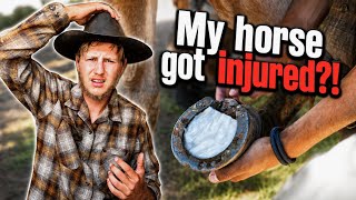 I’m Riding my Horses from Mexico to Canada (Episode 4)