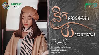 នឹកពេលណាយំពេលនោះ | តន់ ចន្ទសីម៉ា [ MUSIC MIX ]