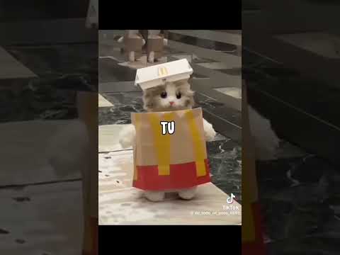 ya volví de corzuela Chaco