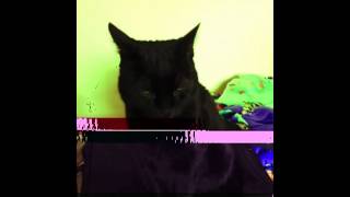 My Name Is Vincent