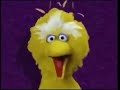 Sesame Street Toodle Loo With 2000 Music Sesame Workshop Logo