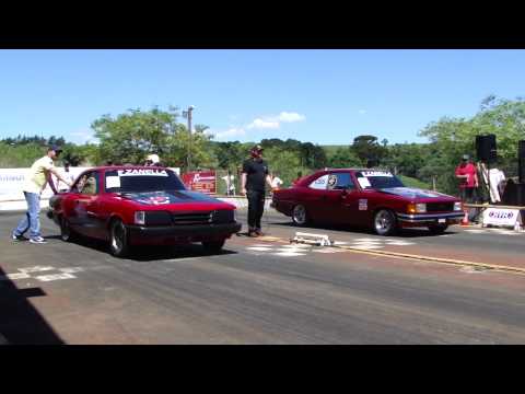 Opala STT x Opala STT  susto...