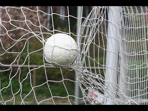 Wahl zum Tor der Saison 2012/2013