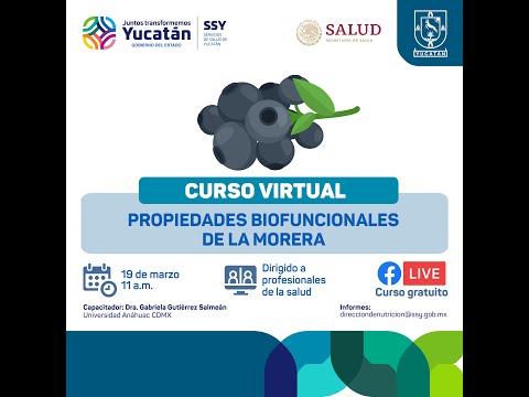 Curso Virtual: Propiedades Biofuncionales de la Morera a cargo de la Dra. Gabriela Gutiérrez Salmeán