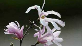 outlandish walou (rishi rich mix)