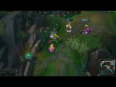 Fiora 1 v 4