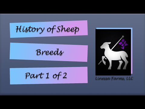 , title : 'History of Sheep Breeds:  Part 1 of 2'